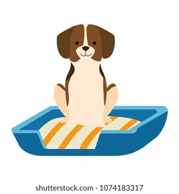 cute dog in the bed character