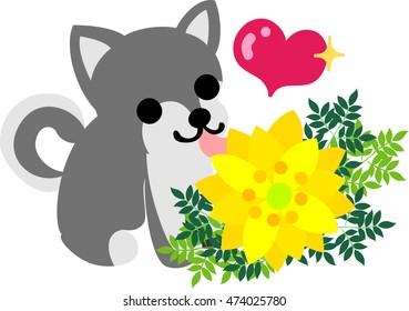 The cute dog and a big flower