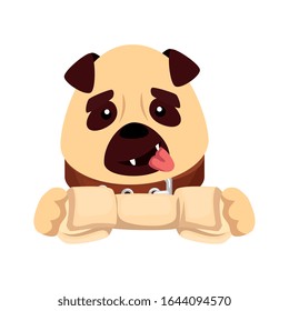 Perro lindo con icono aislado de hueso Ilustración vectorial diseño