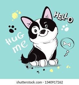 Cute dog Border Collie on a blue background