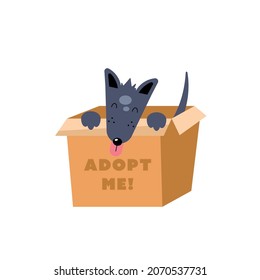 perro lindo en la caja con la etiqueta de adoptarme