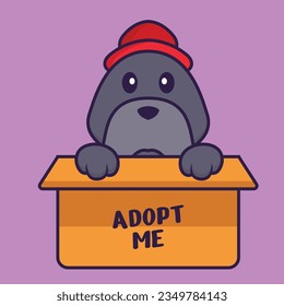 Cute dog in box with a poster Adopt me