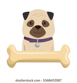 cute dog breed with bone character