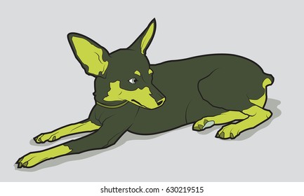 Cute dog of breed Chihuahua. vector illustration