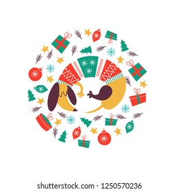 Cute dog breed Dachshund in a knitted sweater. Christmas composition. Dogs and Christmas toys, gifts. The composition is made in the form of a circle. It will look good on t-shirts, mugs, postcards.