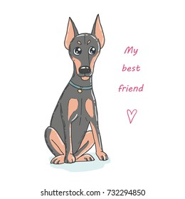 Cute dog breed doberman. My best friend. Lovely illustration in cartoon style on white background.