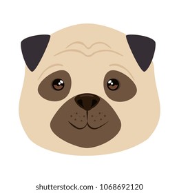 cute dog breed head character