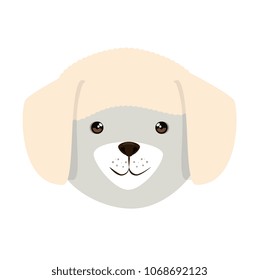cute dog breed head character