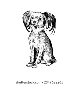 Cute Dog Breed in Sitting Pose Sketch Hand Drawn Vector Illustration. Funny Purebred Domestic Pet and Canine