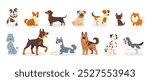 Cute dog breeds. Cartoon puppies and doggy pet. Funny friendly animals characters. Happy corgi, doberman, dalmatian, pug, dachshund. Flat puppy vector set.