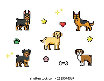 Razas de perro ricas. Iconos de estilo Pixel art 80. Etiquetas y diseño de bordado. Sprite de videojuegos.