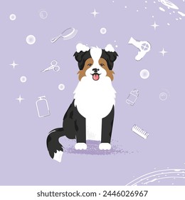 The cute dog with bubbles in kawaii, flat vector style. Illustation of pet grooming for content, label, banner,graphic and greeting card. Aussie. Australian shepherd. Border collie.