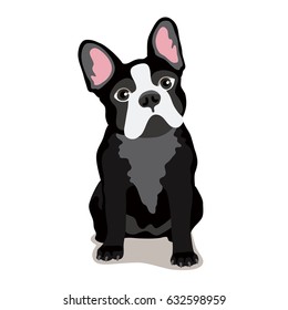 Cute dog of the Bulldog breed. Vector illustration on white background. Friend of human. Symbol of the new year 2018.
