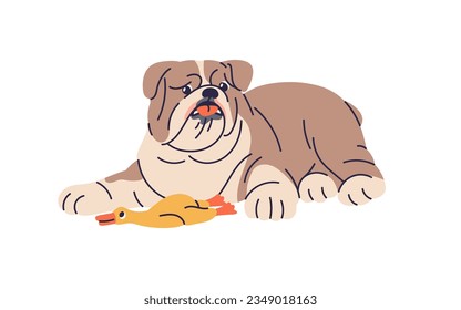 Cute dog and canine duck, chewing squeaky toy. Funny puppy, doggy of English bulldog breed. Adorable pup pet relaxing, lying after playing game. Flat vector illustration isolated on white background