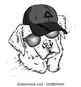 Cute Dog in cap and glasses. Vector illustration.