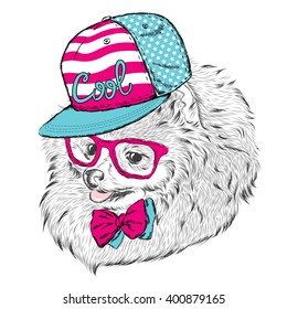 Cute Dog in cap and glasses. Vector illustration.