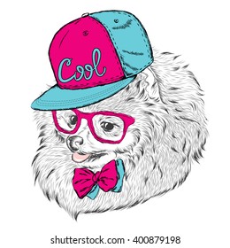 Cute Dog in cap and glasses. Vector illustration.