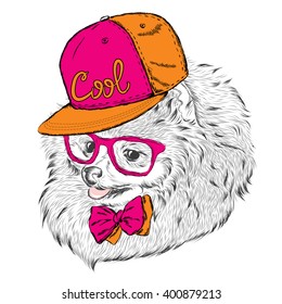 Cute Dog in cap and glasses. Vector illustration.