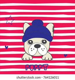 cute dog in cap, cute puppy
