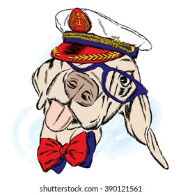 Lindo perro en la gorra del capitán. Capitán. Marinero.