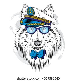Cute dog in a captain's cap. Charming puppy. Vector illustration. Collie.