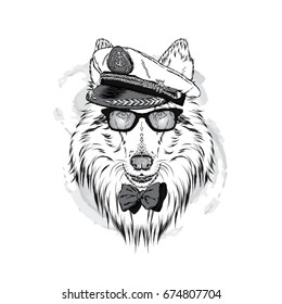 Cute dog in a captain's cap. Charming puppy. Vector illustration. Collie.