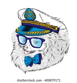 Cute Dog in captain's cap. Vector illustration. Print.
