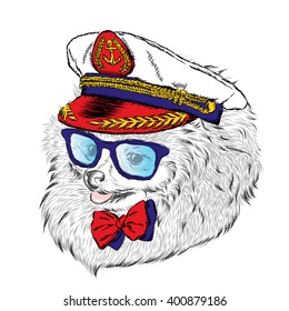 Cute Dog in captain's cap. Vector illustration. Print.