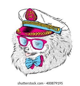 Cute Dog in captain's cap. Vector illustration. Print.