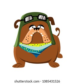 Cute dog. Cartoon. Bulldog