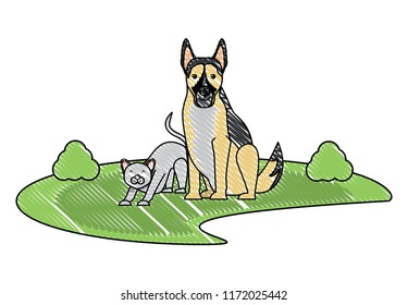 cute dog and cat
