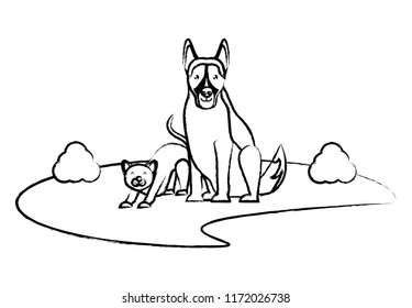 cute dog and cat
