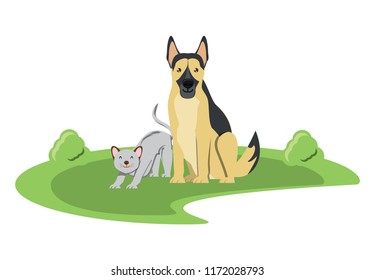 cute dog and cat