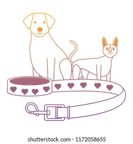 cute dog and cat 