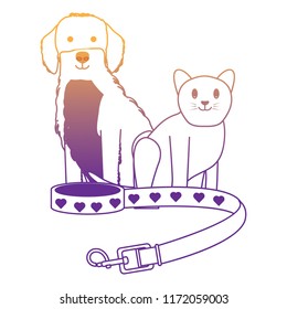 cute dog and cat 