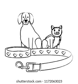 cute dog and cat 