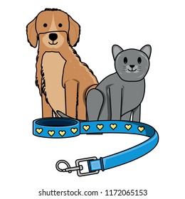 cute dog and cat 