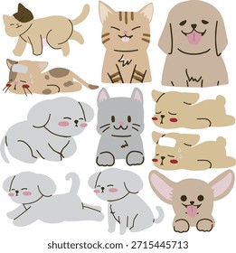 Un lindo perro y lindo gato