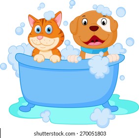 Cute Dog And Cat Bath 