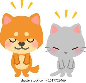 Cute dog and a cat bowing