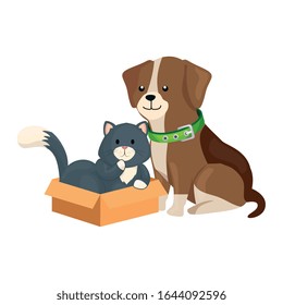 cute dog with cat in box carton vector illustration design