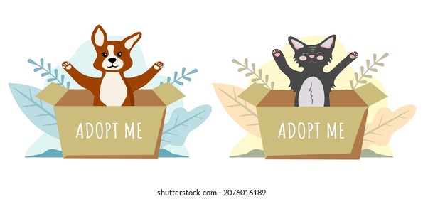 Cute dog and cat in boxes. Homeless animals are looking for a host. Animal shelter.