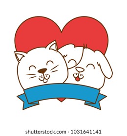 cute dog and cat with ribbon