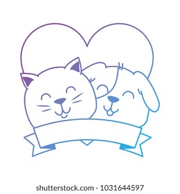cute dog and cat with ribbon