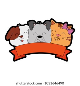 cute dog and cat with ribbon