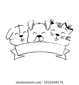 cute dog and cat with ribbon