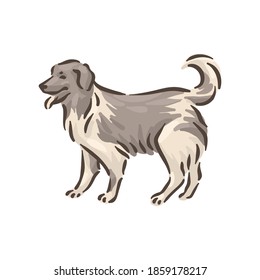 Cute dog Caucasian Shepherd breed pedigree vector illustration 