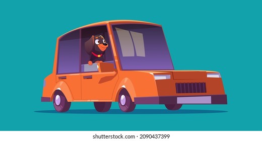 Cute dog character sitting in red car. Vector cartoon illustration of funny pet looks from vehicle open window. Happy puppy rottweiler in auto cabin isolated on background