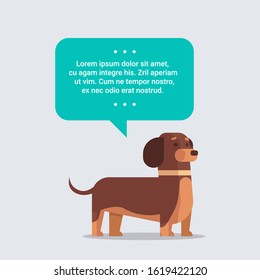 cute dog with chat bubble speech furry human friend home animal concept full length vector illustration