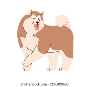 Cute dog of Chinese Alaskan Malamute breed, standing with tongue out. Funny Asian canine animal, chunky doggy. Happy fluffy puppy going. Flat vector illustration isolated on white background